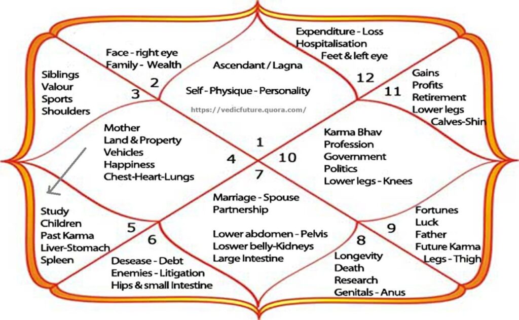 The Profound Significance of Each Astrological House
