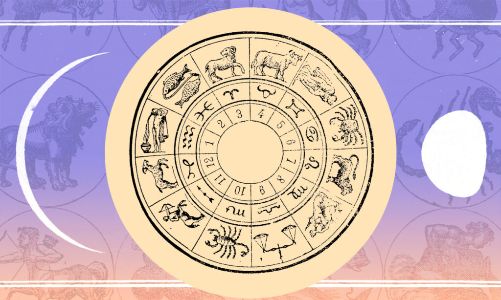 What do the different houses in astrology represent?